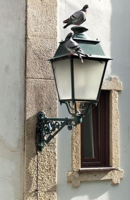 Loft In The Historic Center Of Oporto Downtown Διαμέρισμα Εξωτερικό φωτογραφία